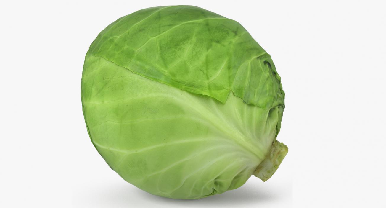 3D Cabbage Collection model