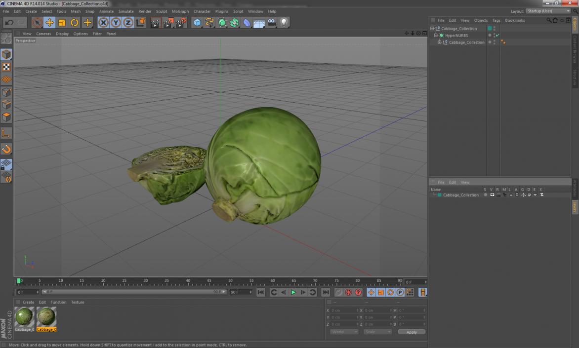 3D Cabbage Collection model