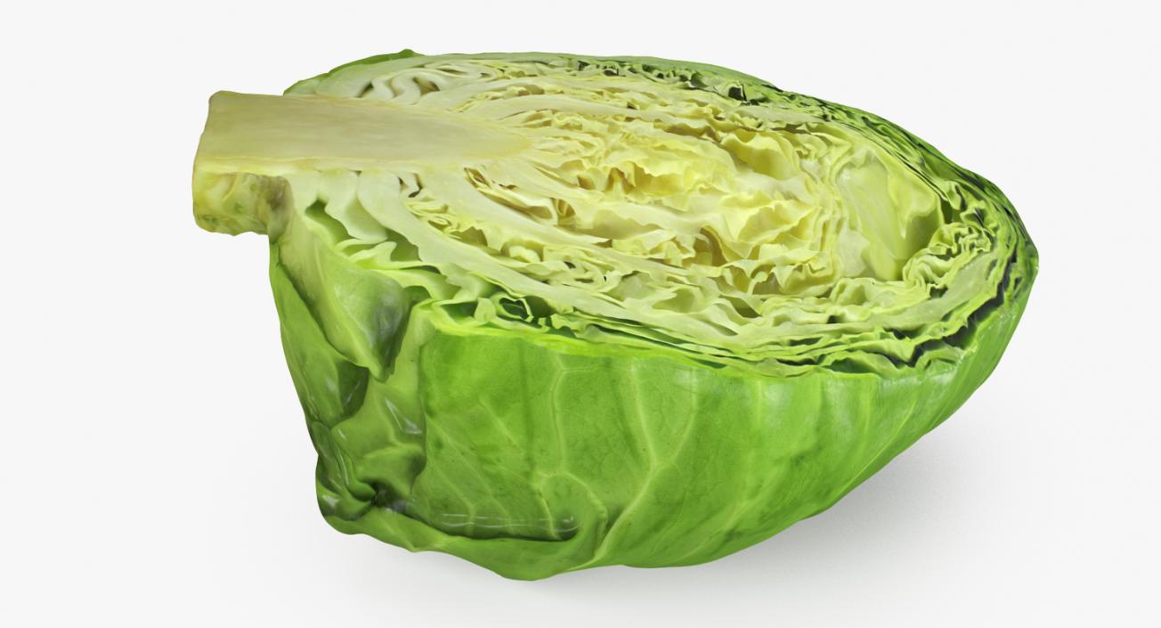 3D Cabbage Collection model