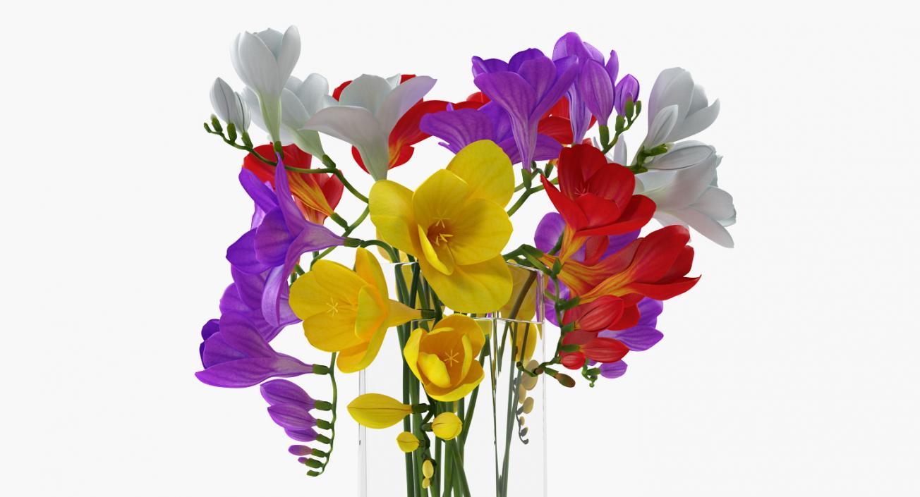 Flowers in Vases 3D Models Collection 3D