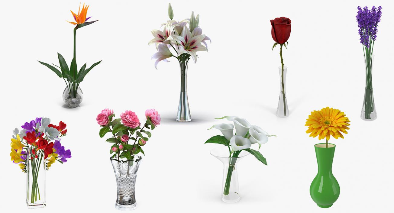 Flowers in Vases 3D Models Collection 3D