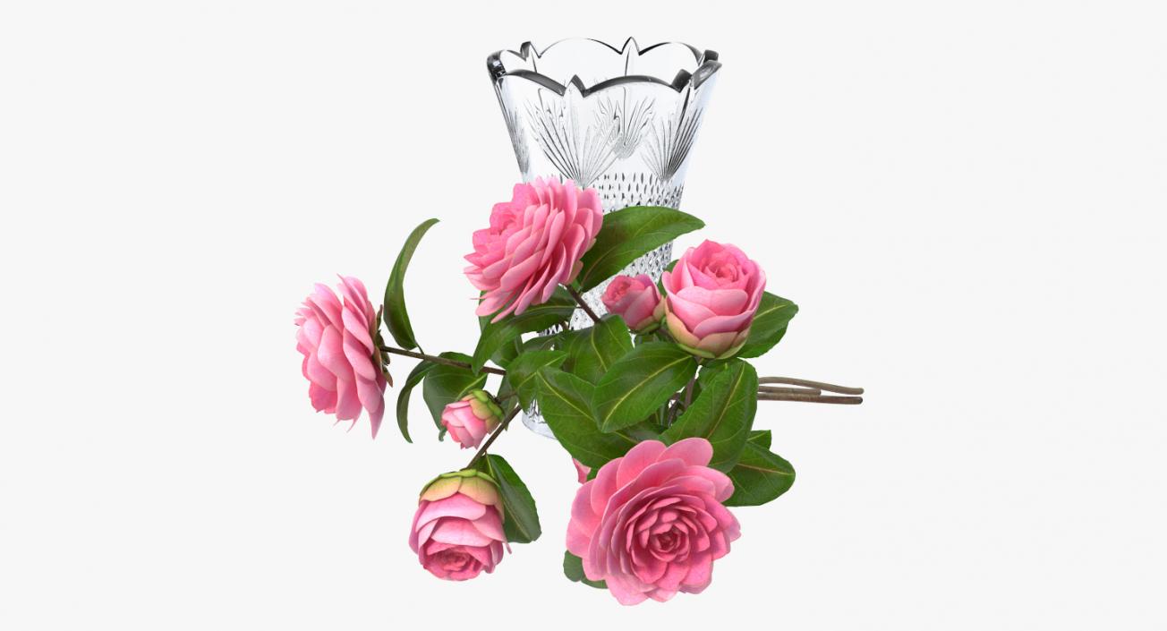 Flowers in Vases 3D Models Collection 3D