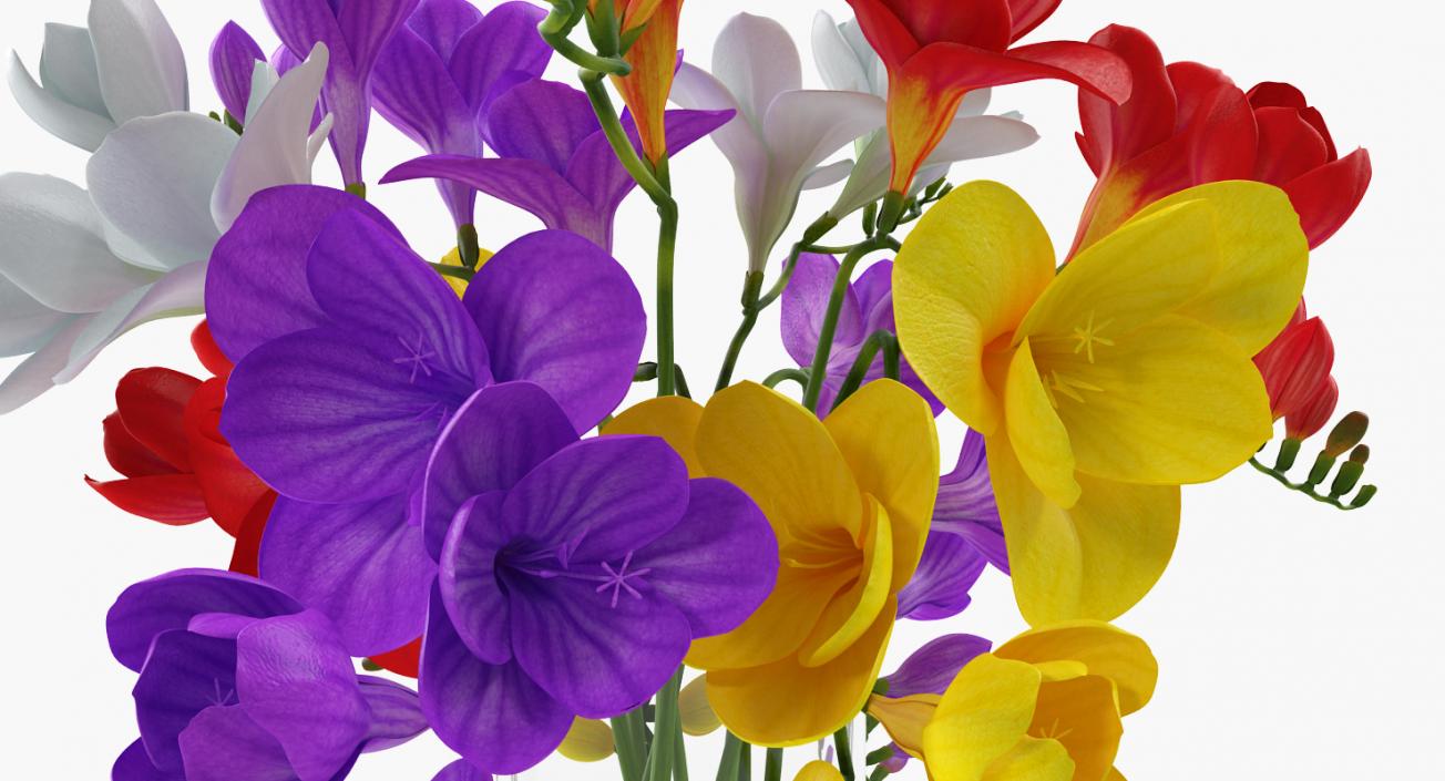 Flowers in Vases 3D Models Collection 3D