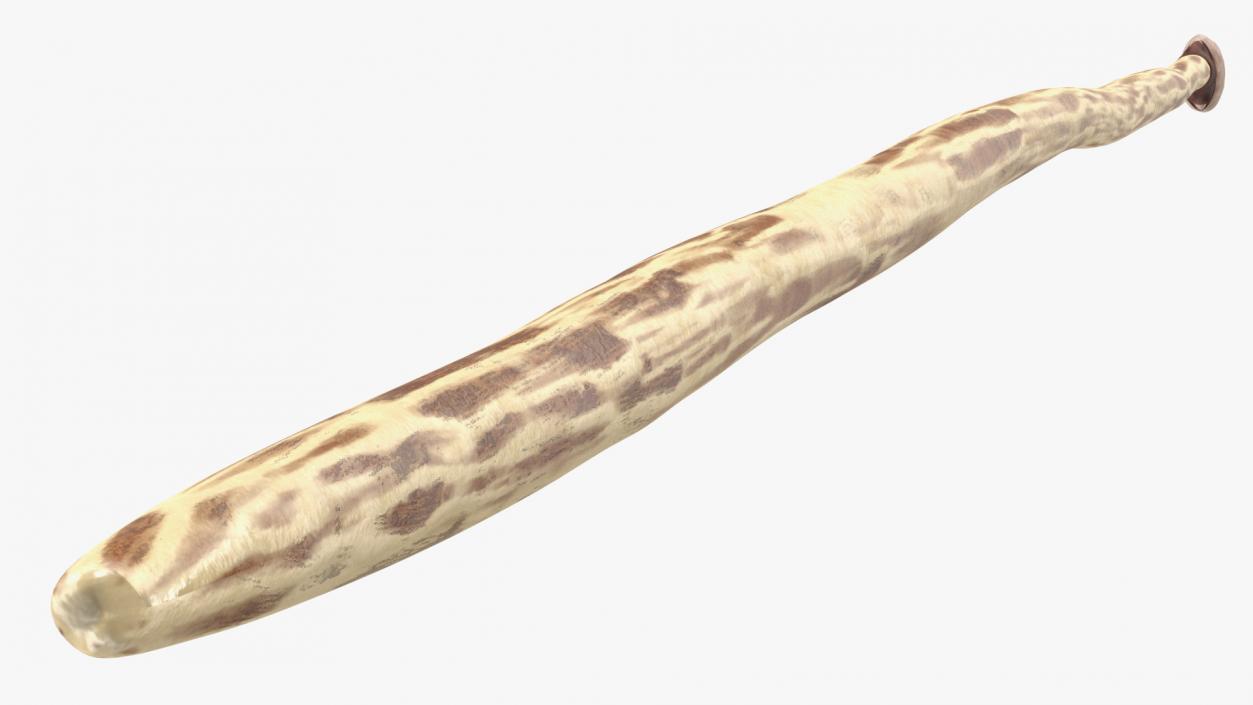 3D Ancient Spear model