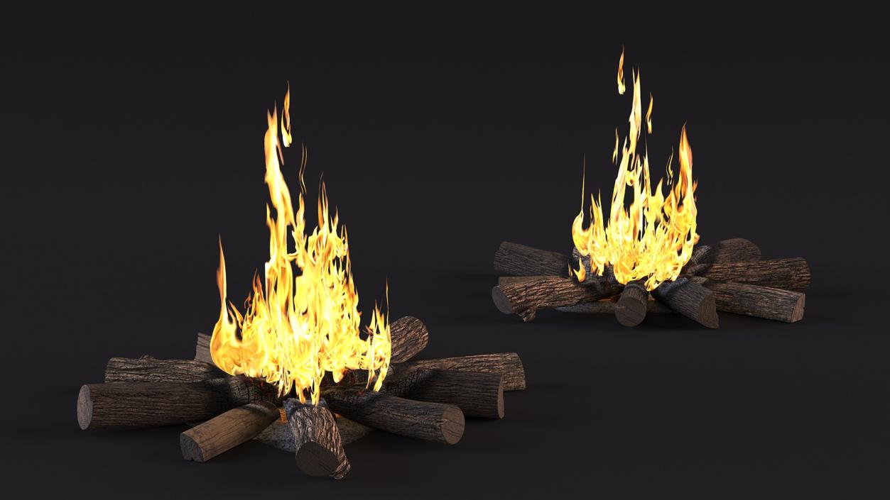 3D Campfire with Burning Logs 2 model