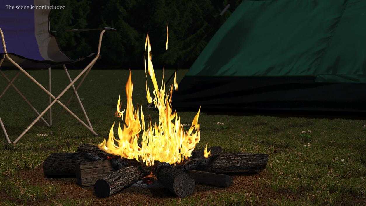 3D Campfire with Burning Logs 2 model