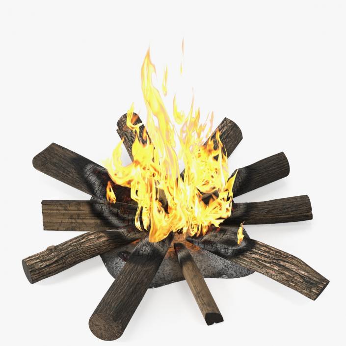 3D Campfire with Burning Logs 2 model