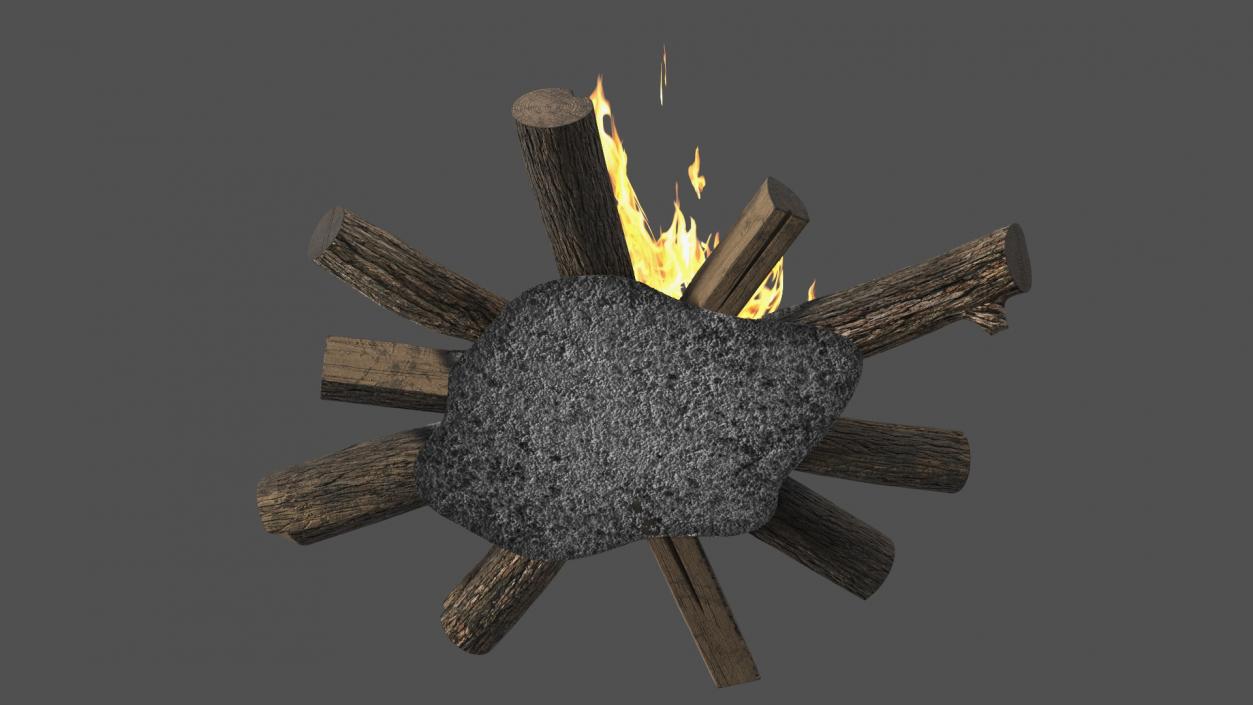 3D Campfire with Burning Logs 2 model