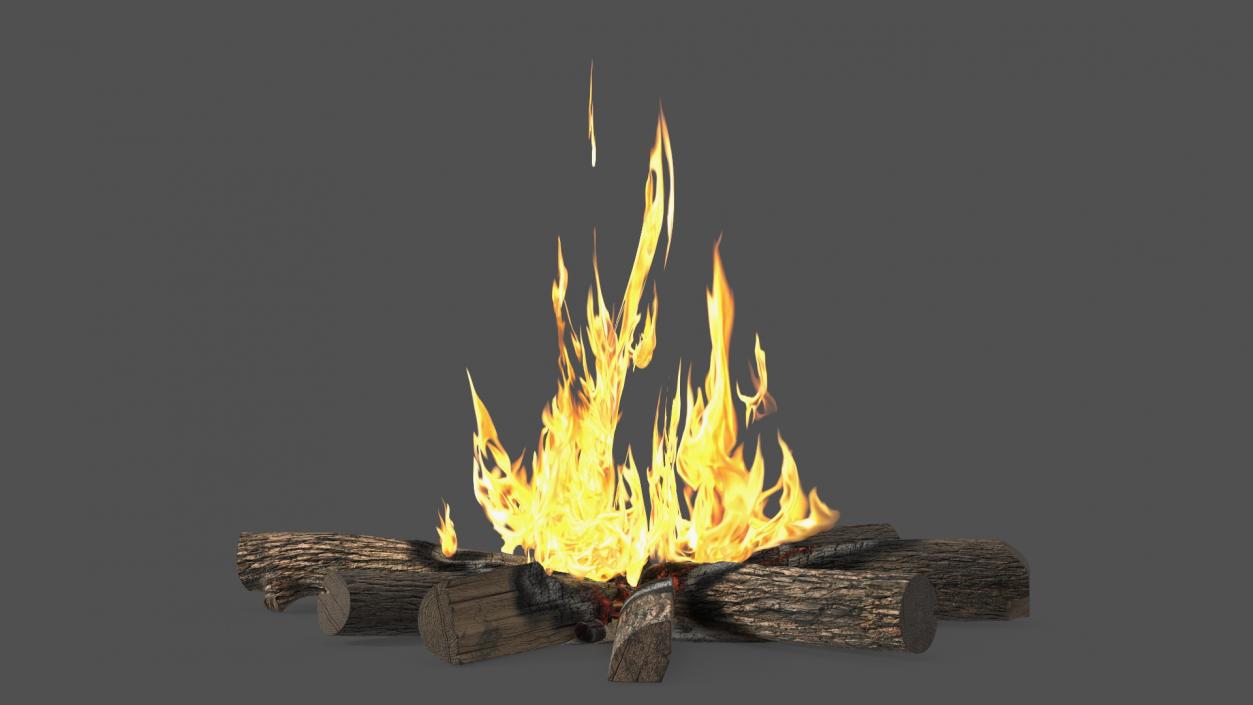 3D Campfire with Burning Logs 2 model