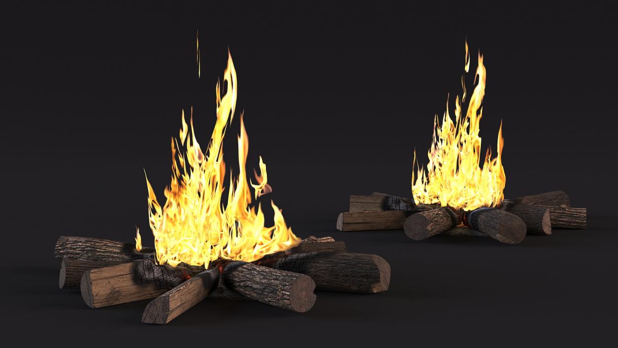 3D Campfire with Burning Logs 2 model