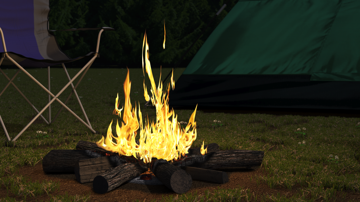 3D Campfire with Burning Logs 2 model