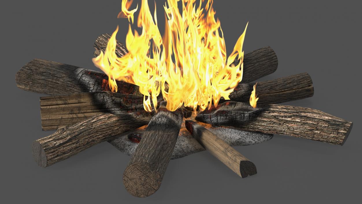 3D Campfire with Burning Logs 2 model