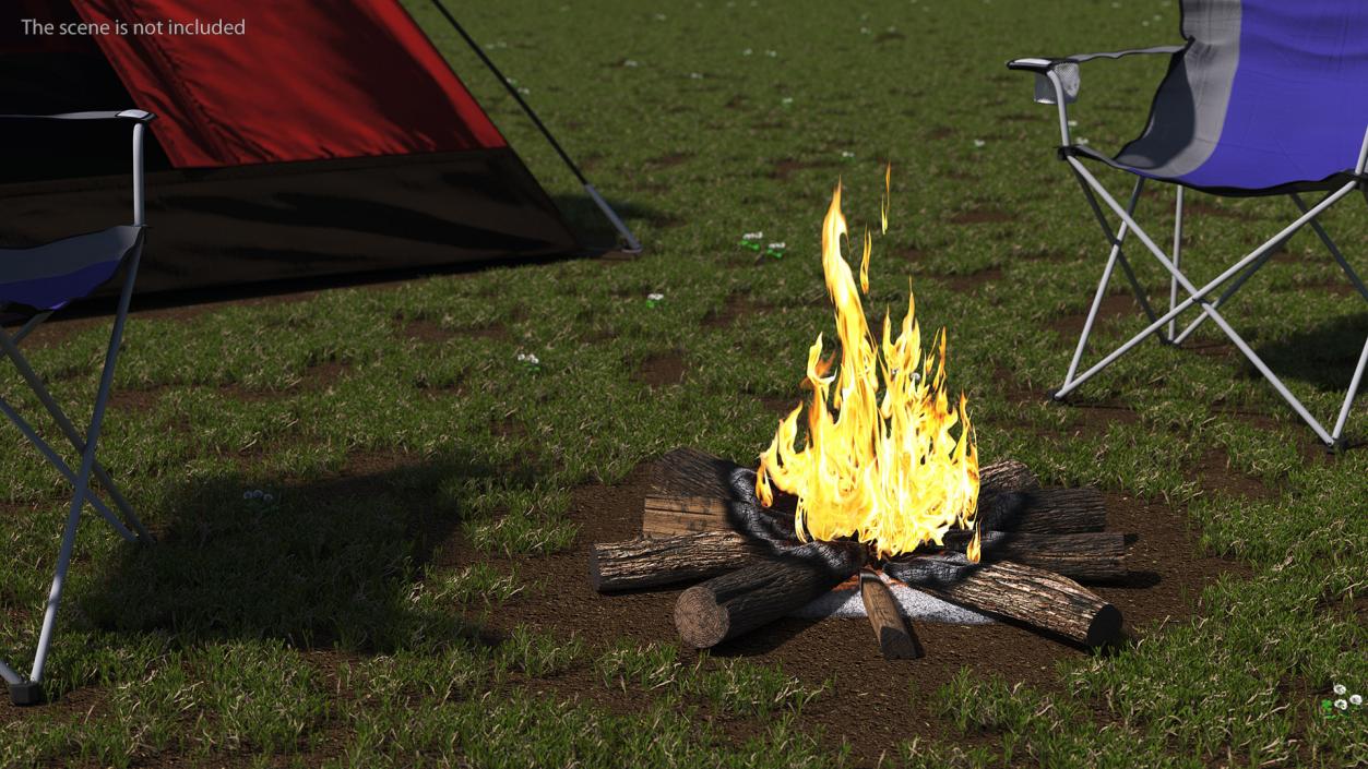 3D Campfire with Burning Logs 2 model