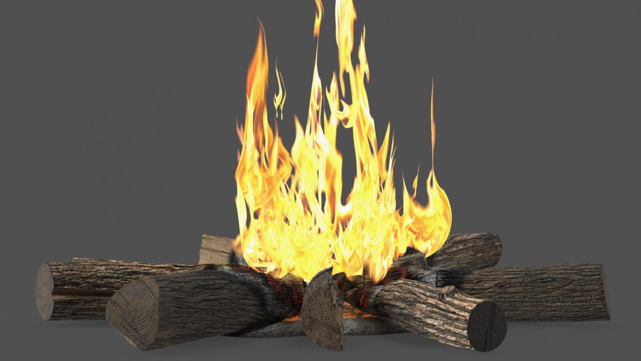 3D Campfire with Burning Logs 2 model