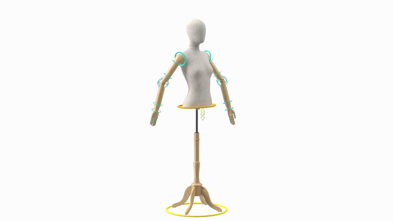 3D model Female Flexible Half Body Mannequin Torso with Wooden Base Rigged