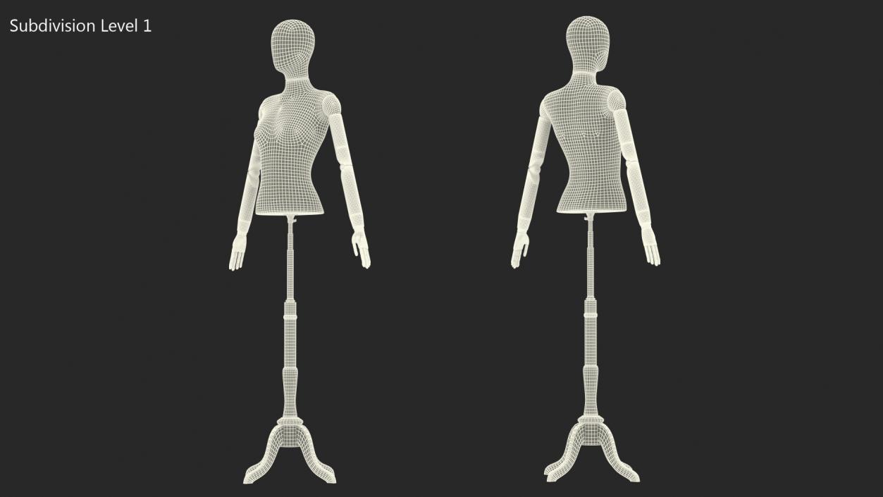 3D model Female Flexible Half Body Mannequin Torso with Wooden Base Rigged