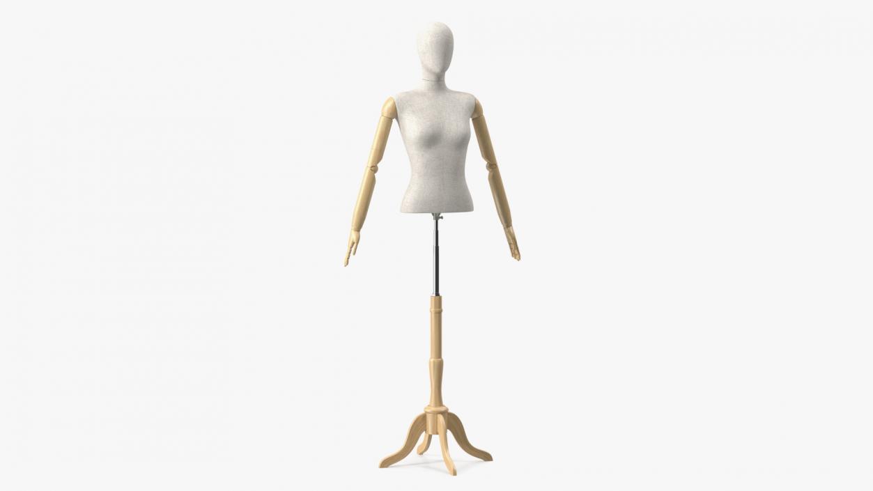 3D model Female Flexible Half Body Mannequin Torso with Wooden Base Rigged