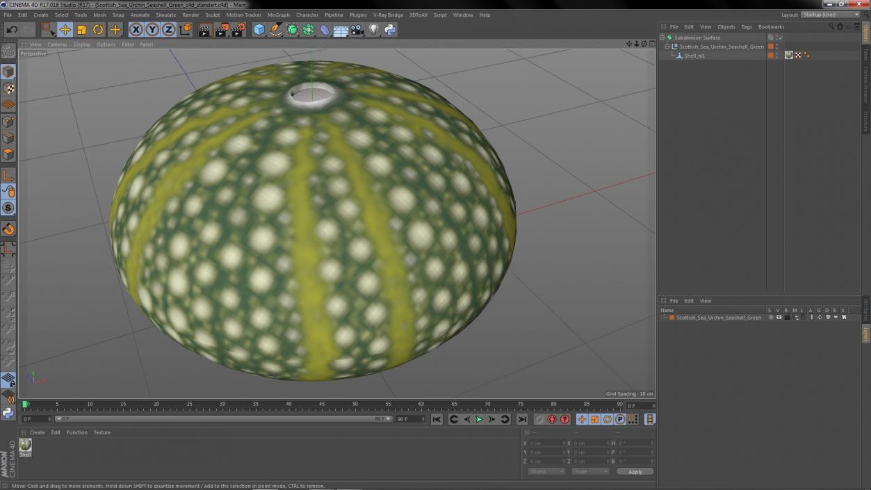 Scottish Sea Urchin Seashell Green 3D model