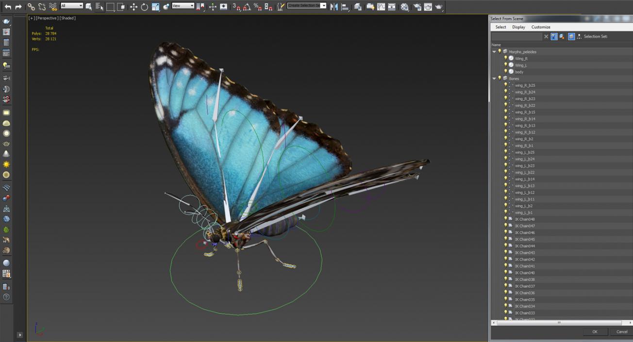 Morpho Peleides Butterfly Rigged 3D