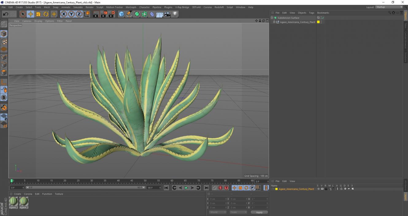 Agave Americana Century Plant 3D model