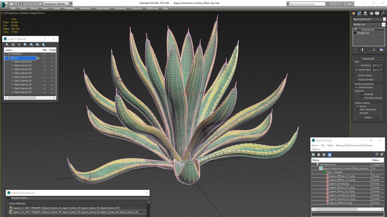 Agave Americana Century Plant 3D model