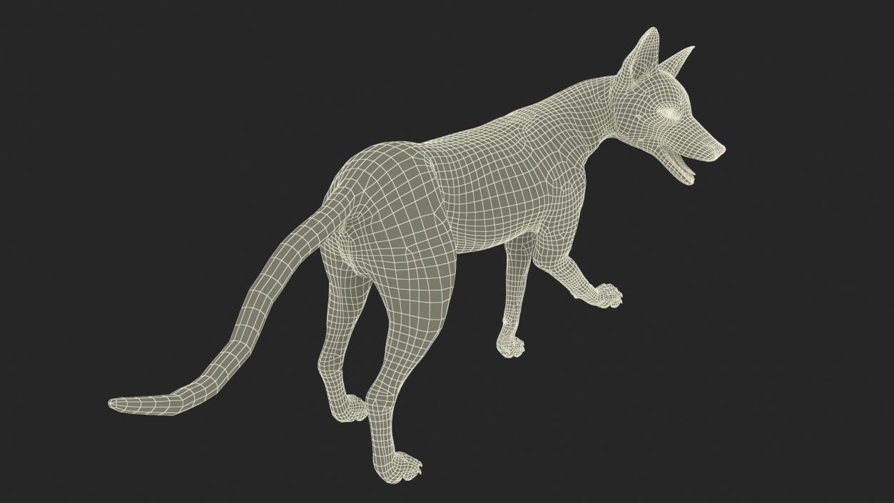 Fox Fur Rigged 3D model