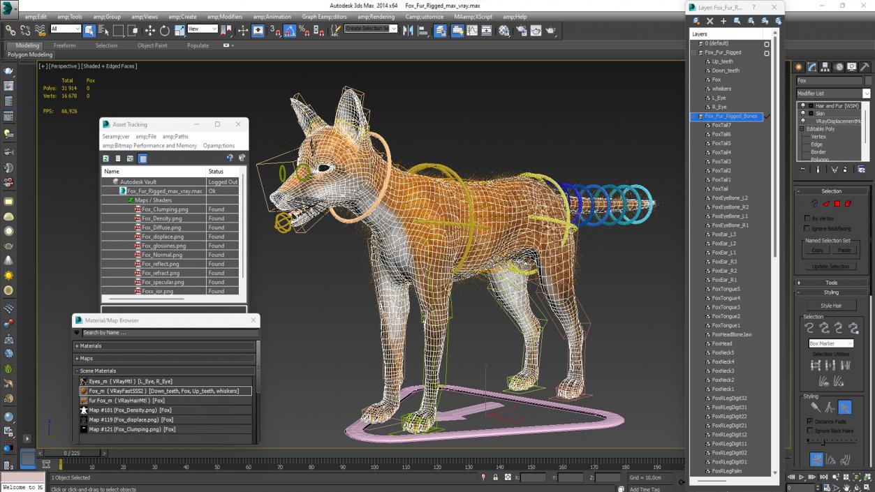 Fox Fur Rigged 3D model