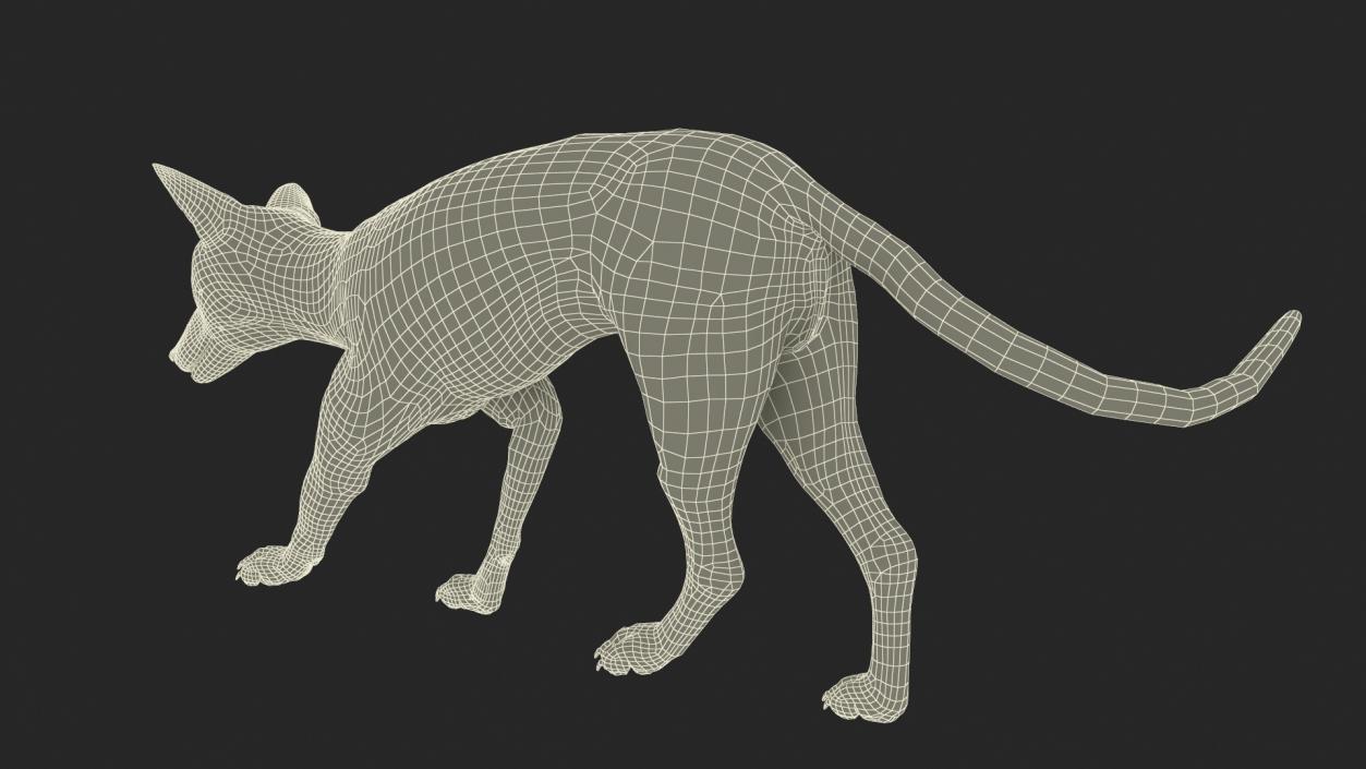 Fox Fur Rigged 3D model