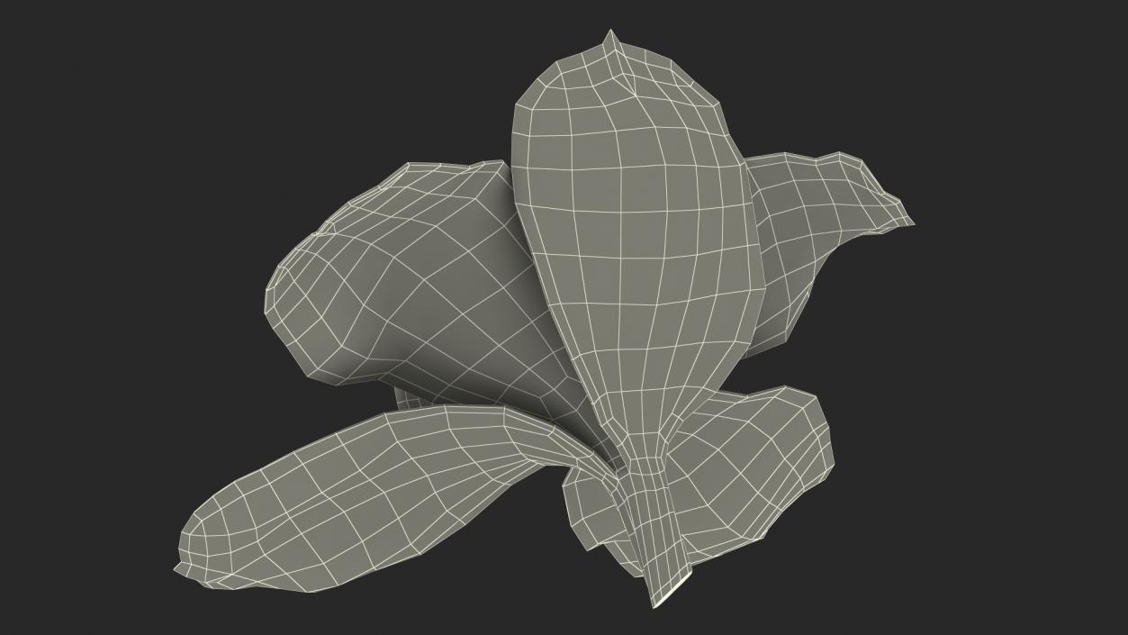 Hybrid Orchid Green 3D model