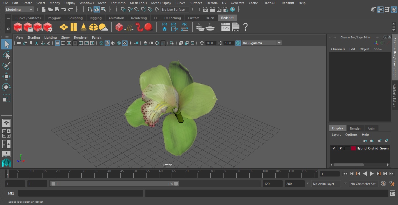 Hybrid Orchid Green 3D model