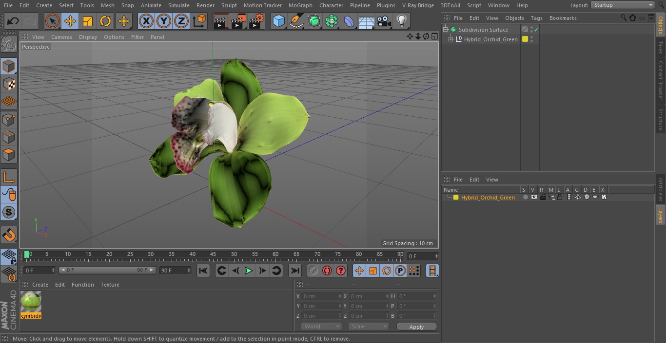 Hybrid Orchid Green 3D model