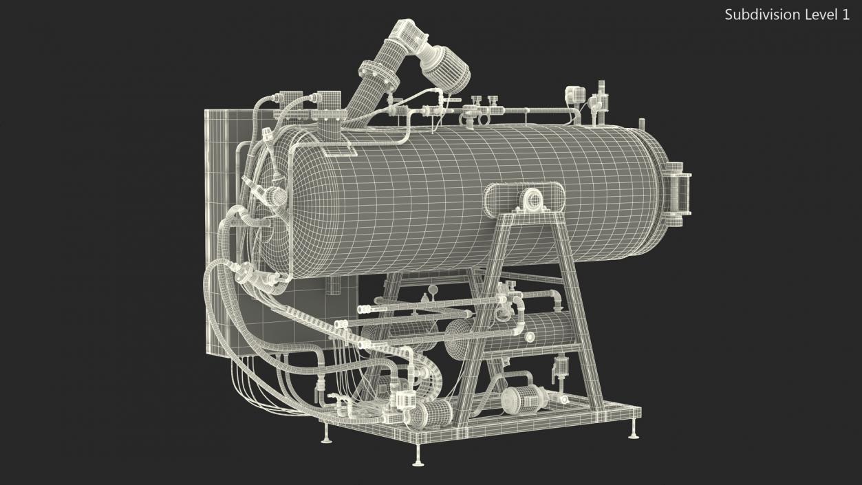 Alkaline Hydrolysis Machine 3D