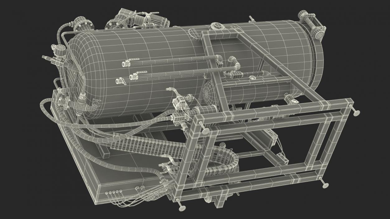 Alkaline Hydrolysis Machine 3D