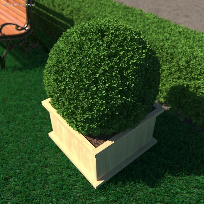 3D model Decorative Shrubs Collection 2