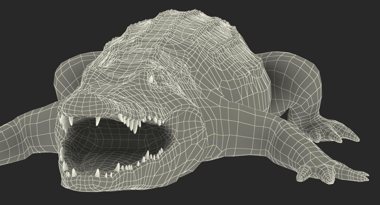 3D Crocodile Rigged