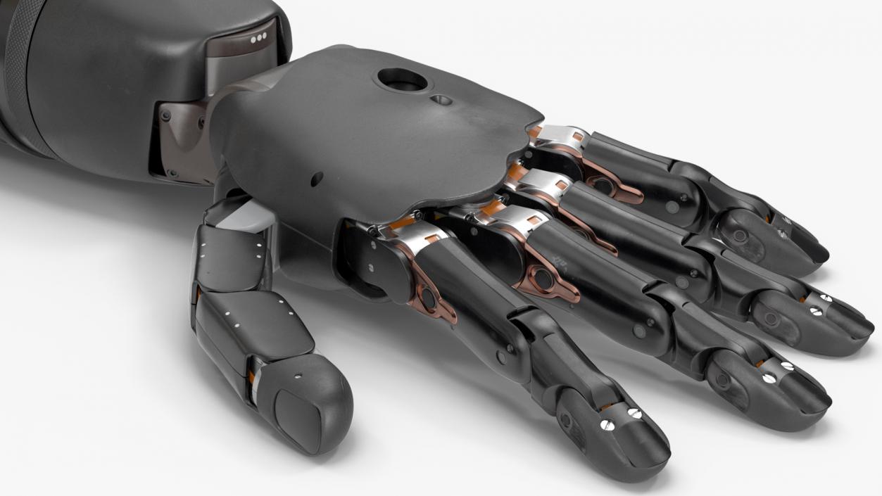 3D Modular Prosthetic Limbs Rigged