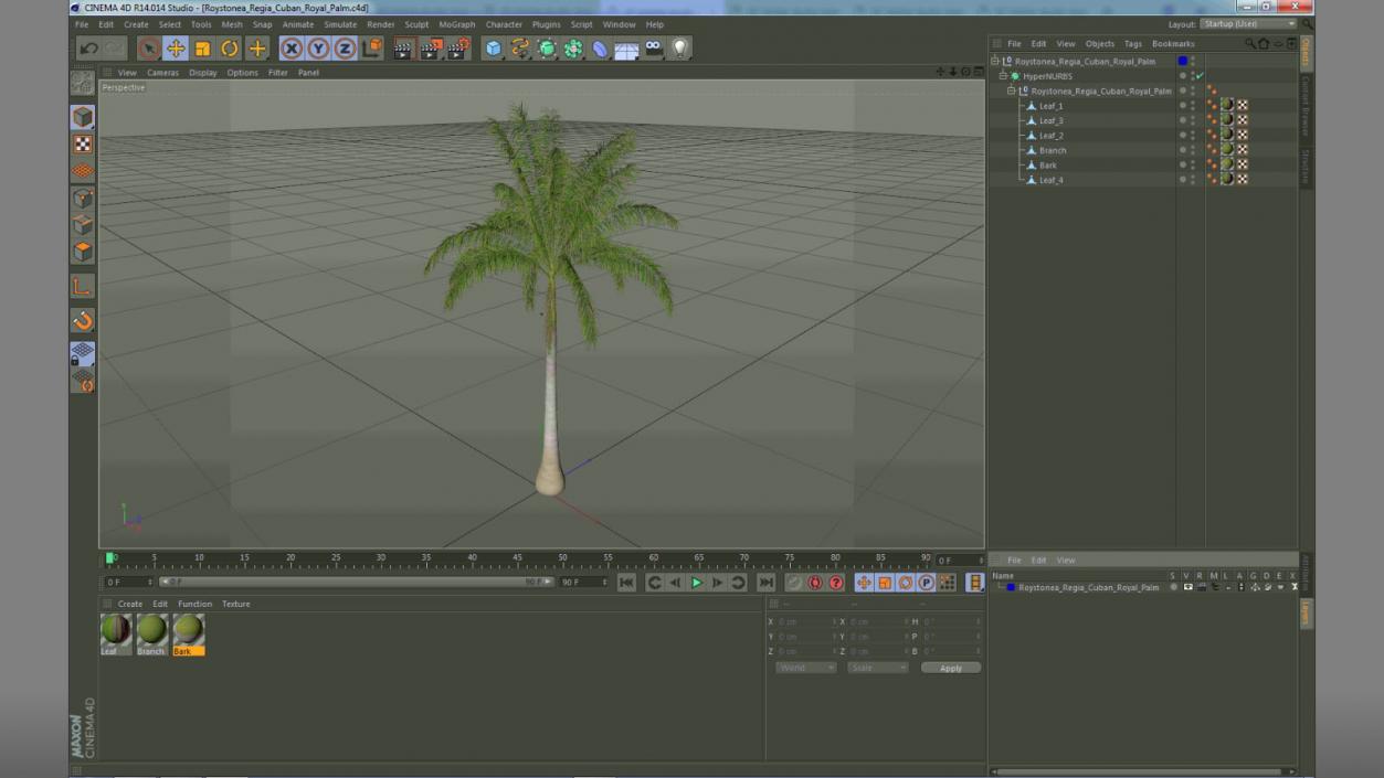 Roystonea Regia Cuban Royal Palm 3D