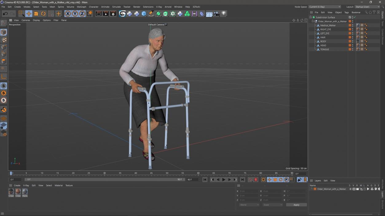 3D model Older Woman with a Walker