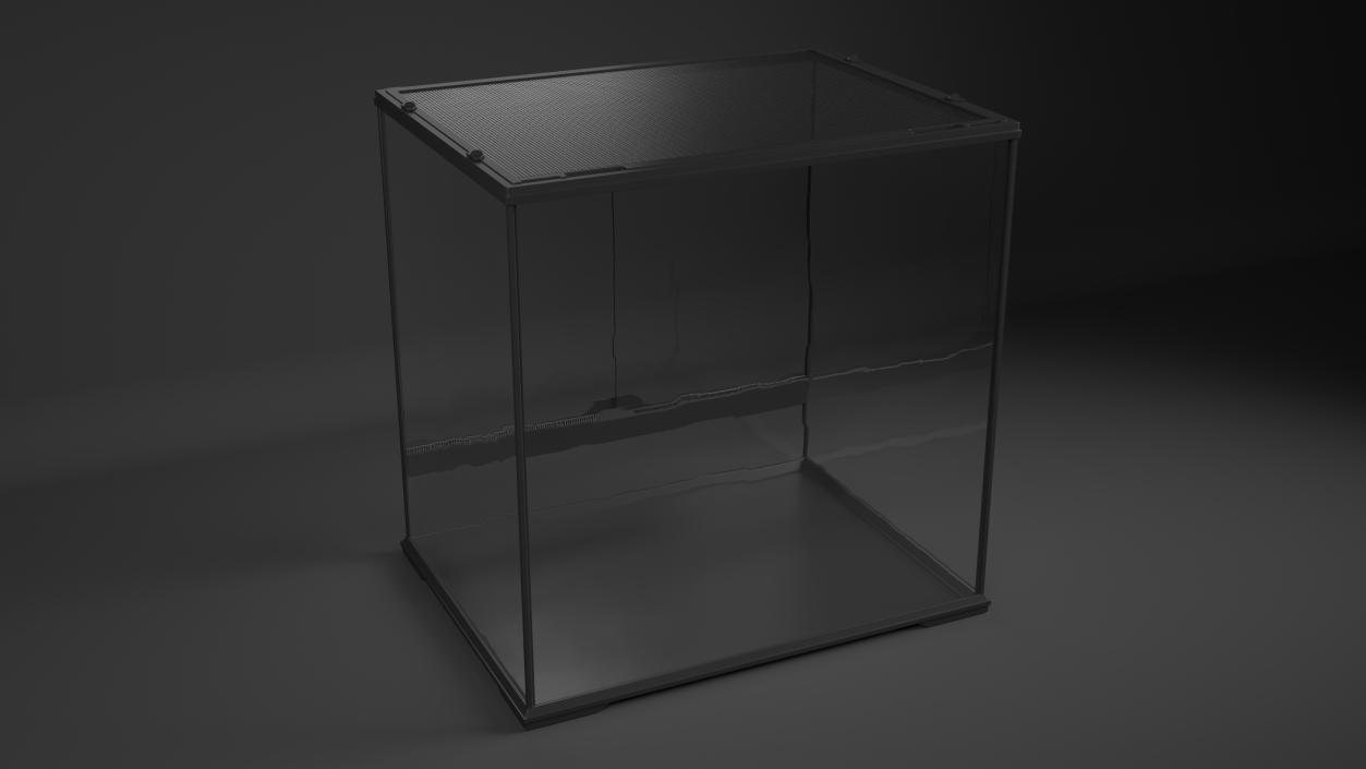 Big Empty Terrarium 3D model