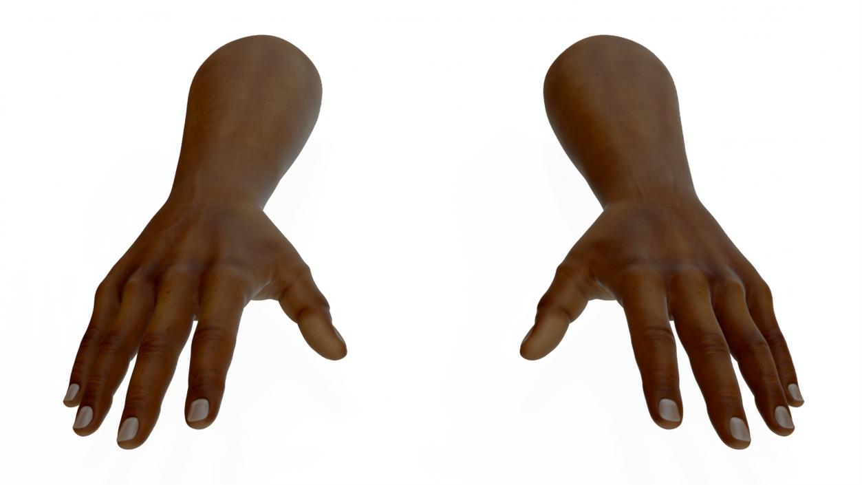 3D model Afro American Man Hands Rigged