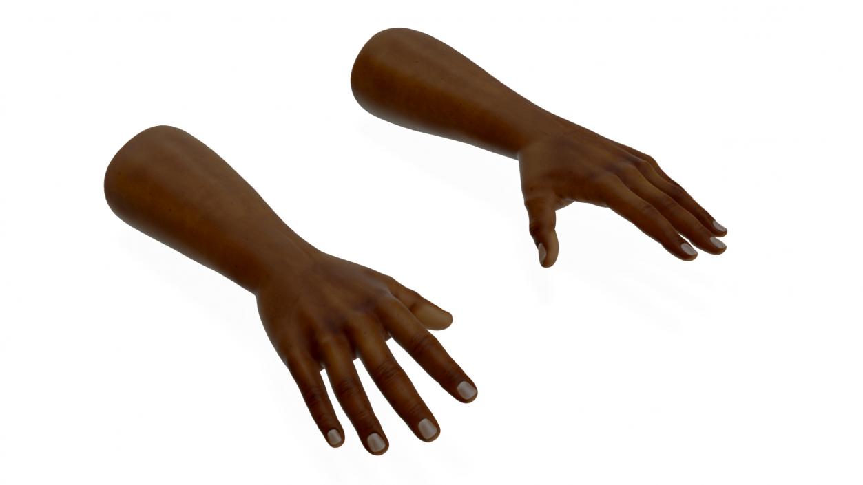 3D model Afro American Man Hands Rigged