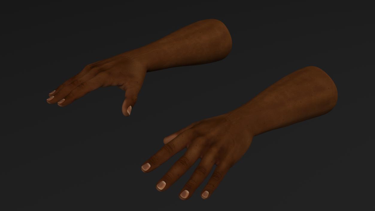 3D model Afro American Man Hands Rigged