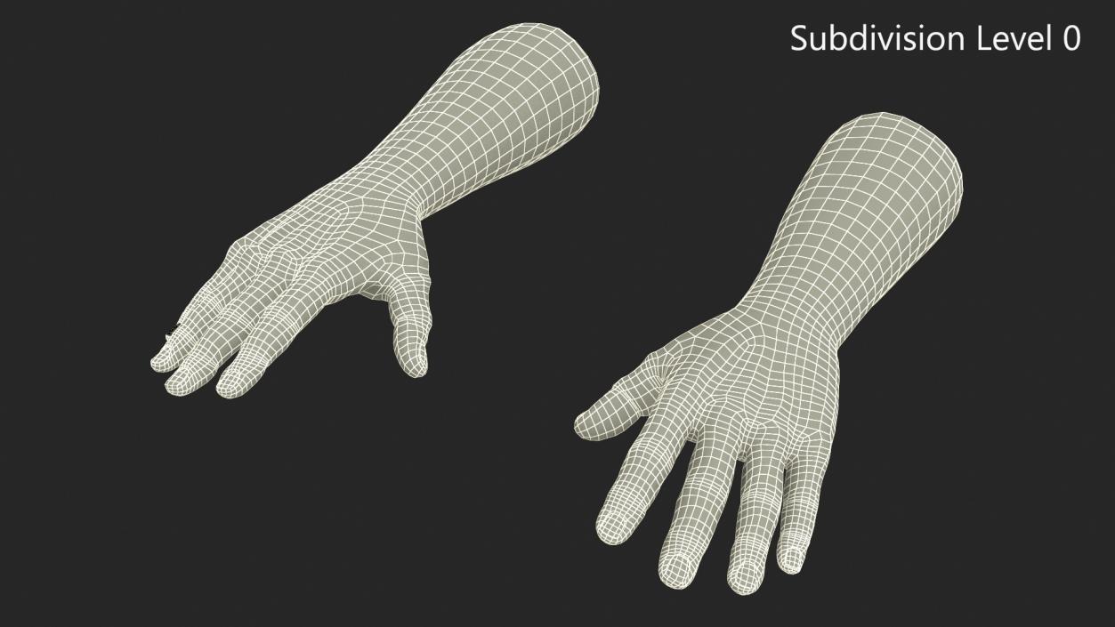 3D model Afro American Man Hands Rigged