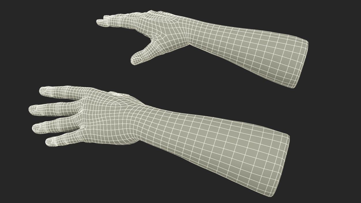 3D model Afro American Man Hands Rigged