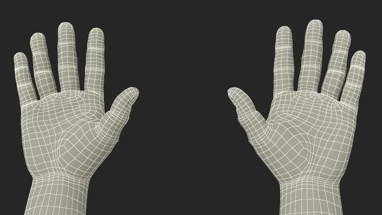 3D model Afro American Man Hands Rigged