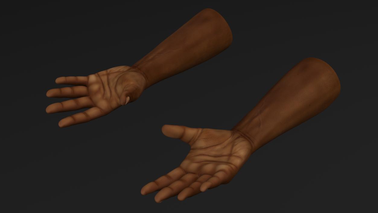 3D model Afro American Man Hands Rigged