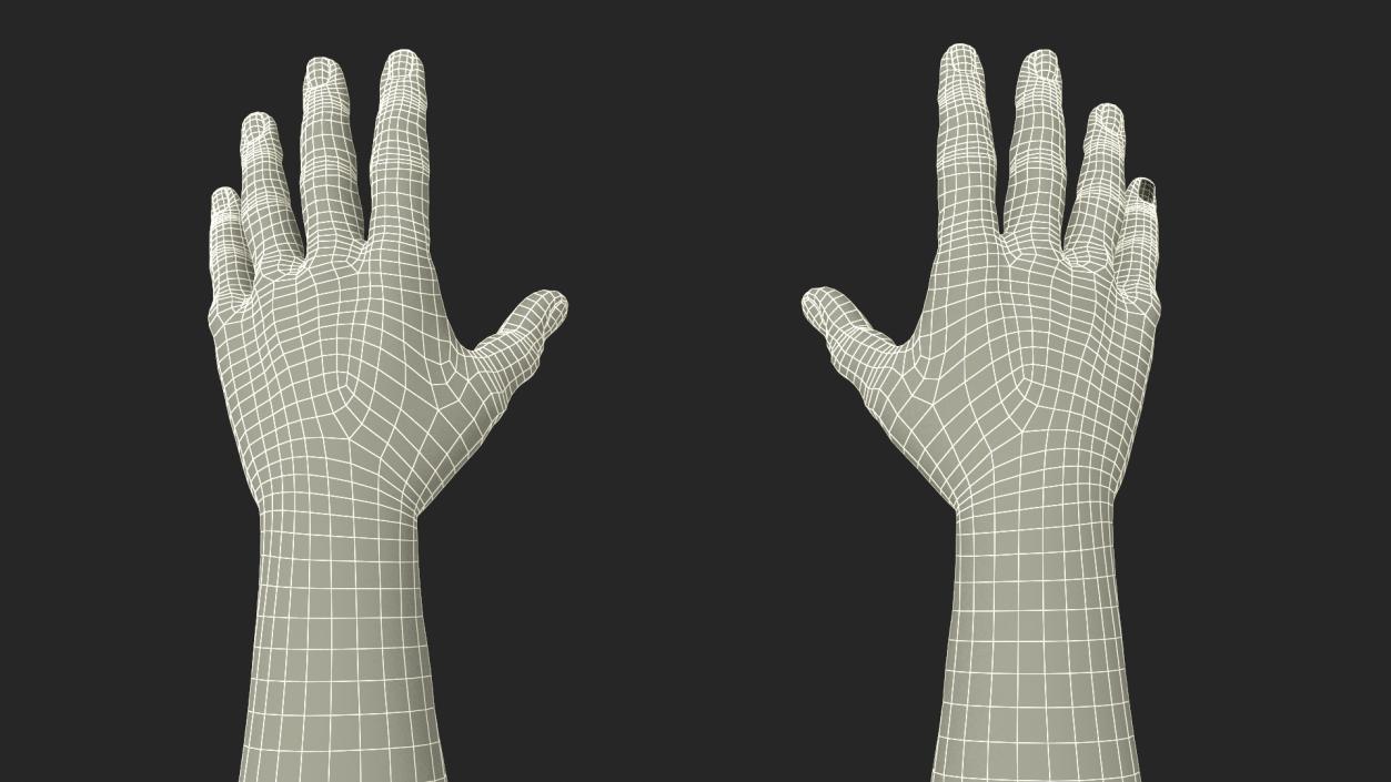 3D model Afro American Man Hands Rigged