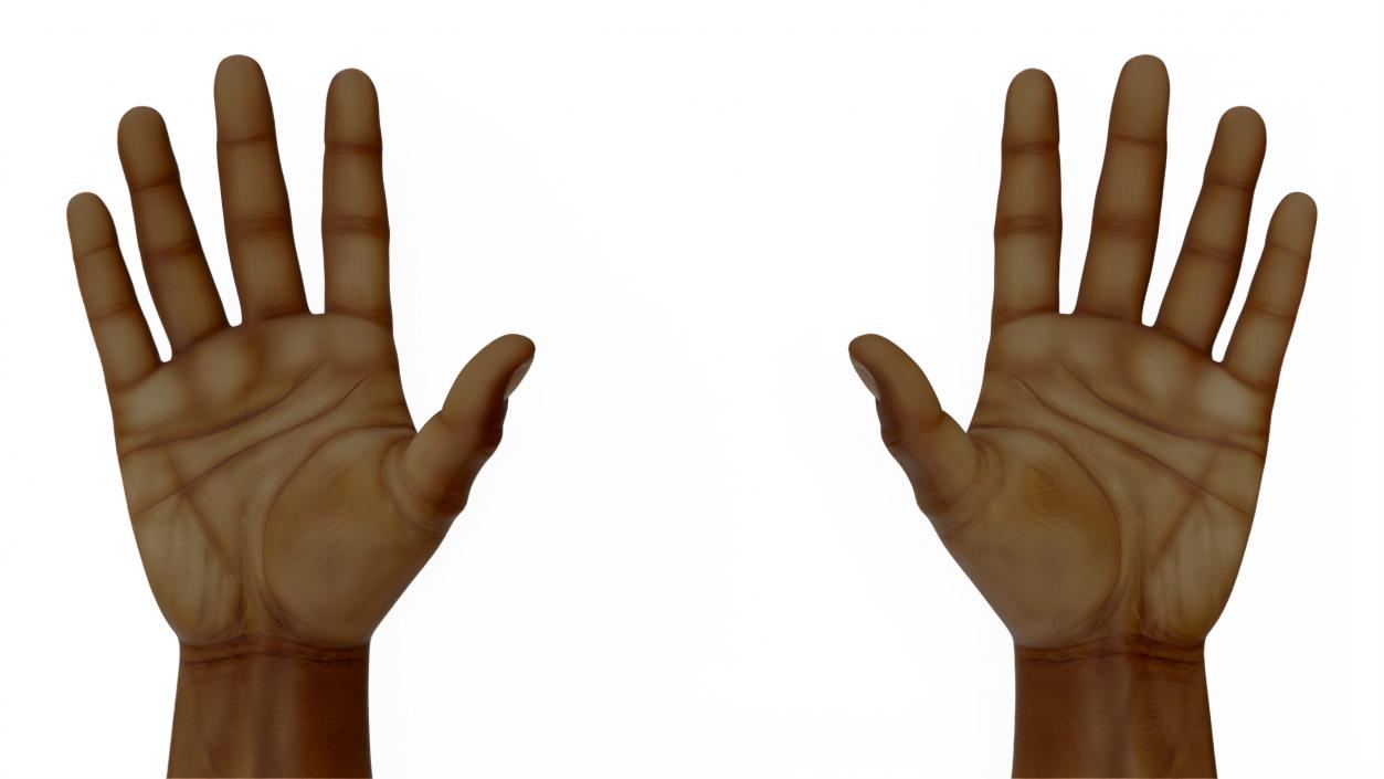 3D model Afro American Man Hands Rigged