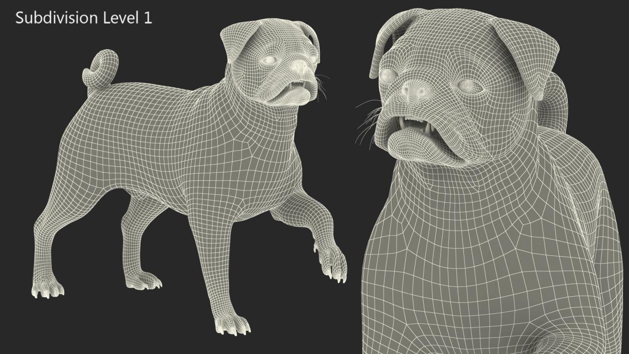 3D Pug Dog Fur Rigged model