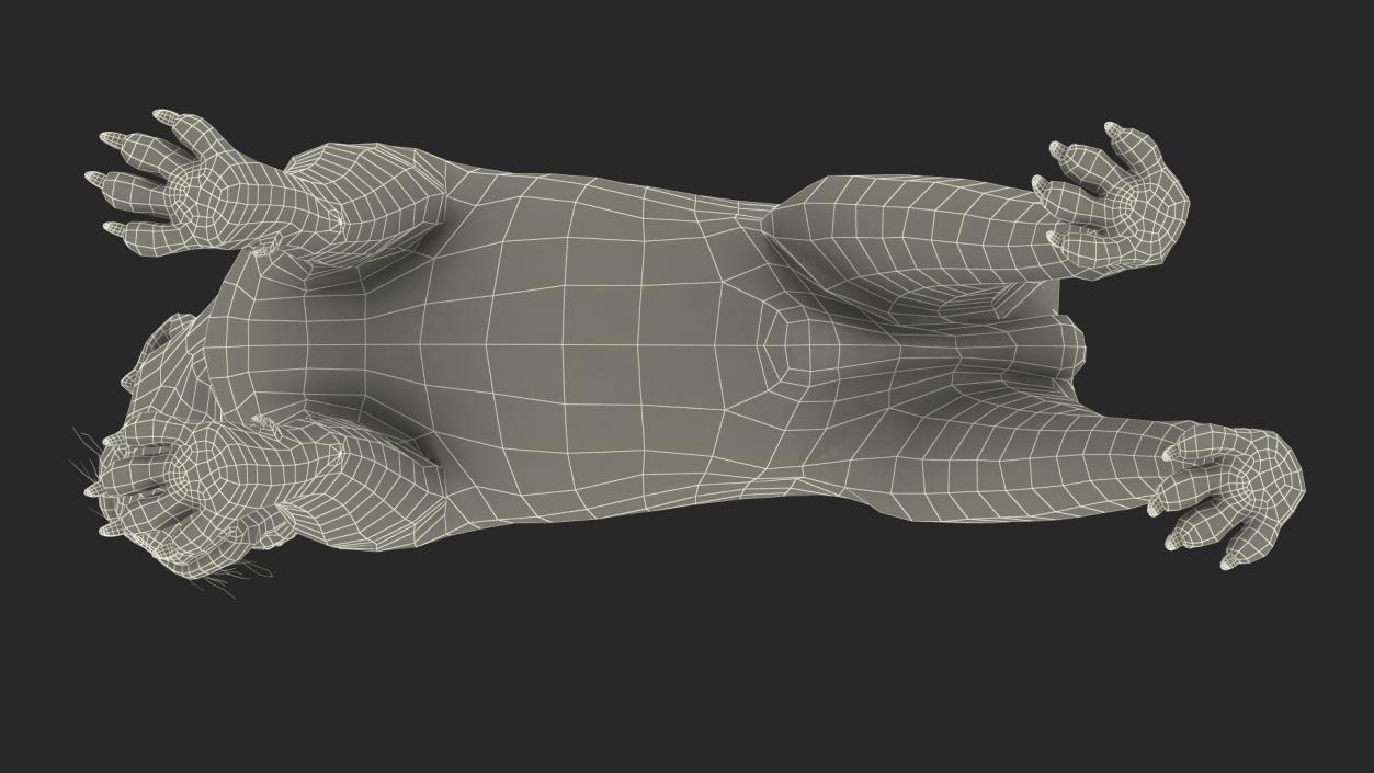 3D Pug Dog Fur Rigged model